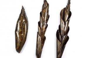 Bud
